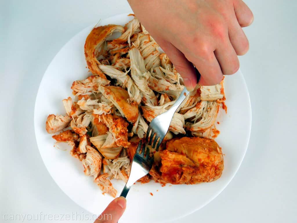 Shredding cooked chicken breast with forks
