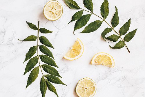 Mint leaves and lemon slices