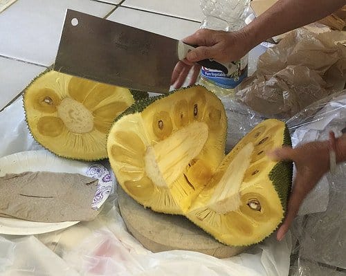 Cutting jackfruit