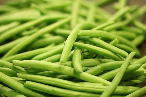 Can You Freeze Green Beans?