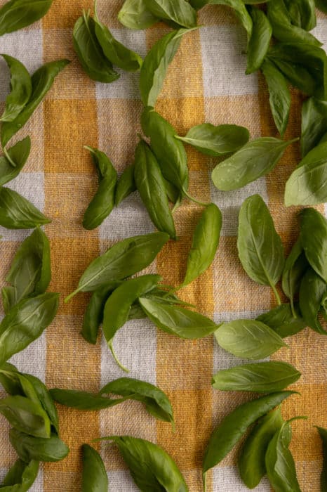 Drying basil for pesto