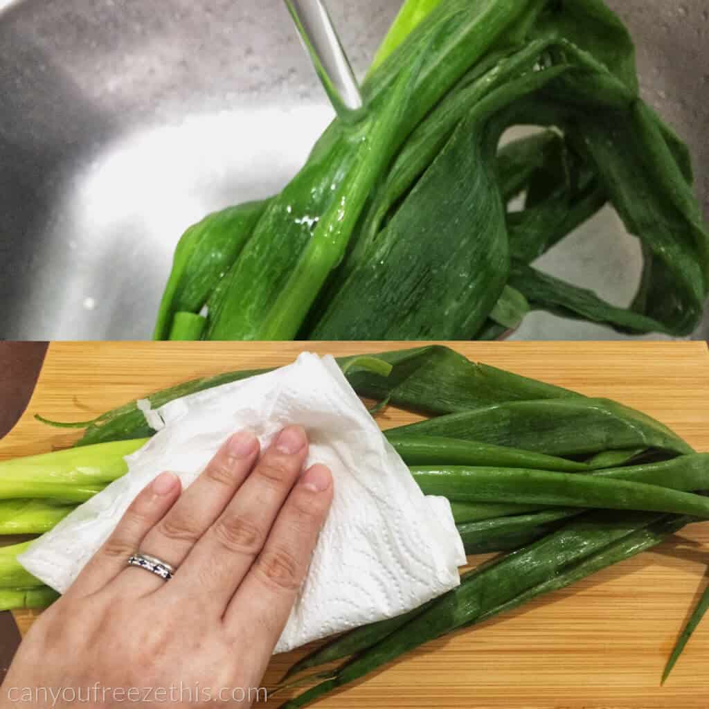 Can You Freeze Leeks? Can You Freeze This?